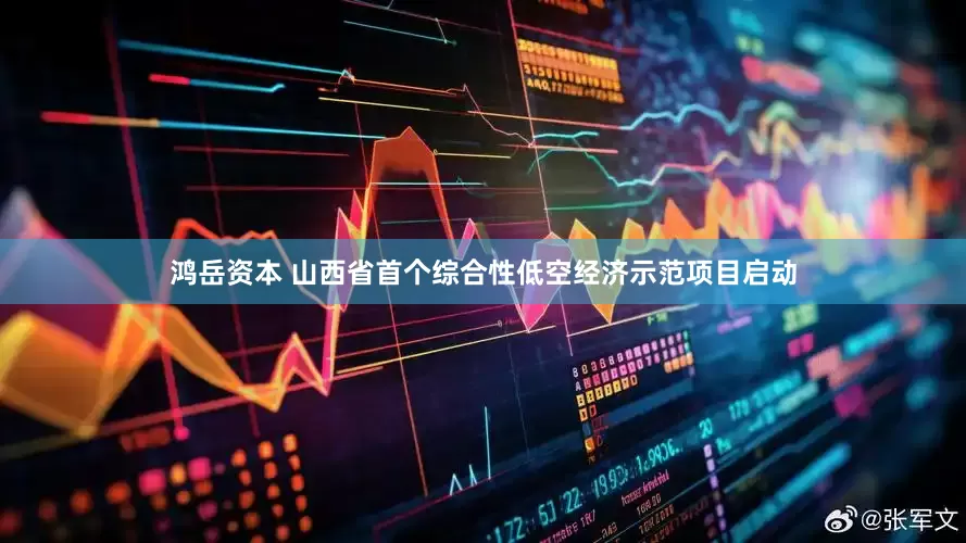 鸿岳资本 山西省首个综合性低空经济示范项目启动