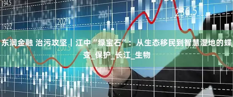 东润金融 治污攻坚｜江中“绿宝石”：从生态移民到智慧湿地的蝶变_保护_长江_生物