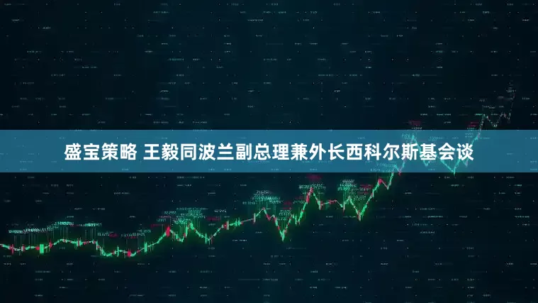 盛宝策略 王毅同波兰副总理兼外长西科尔斯基会谈
